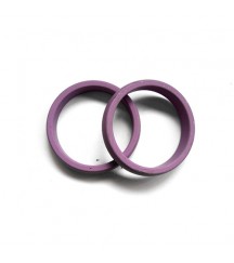 Sealing ring 21780376